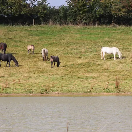 بيت للعطل The Dairy