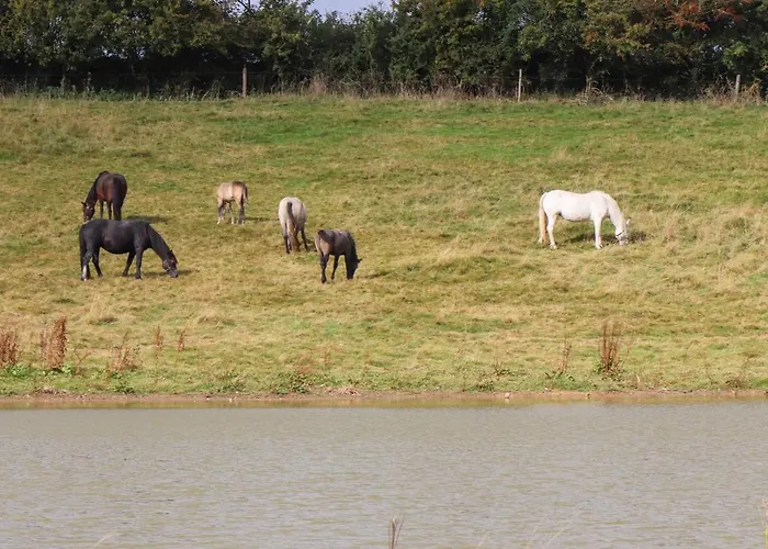 Дом отдыха The Dairy