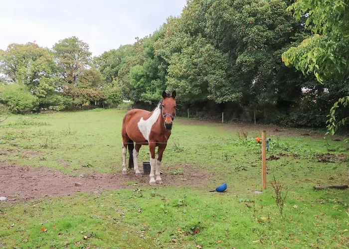 Дом отдыха The Dairy *